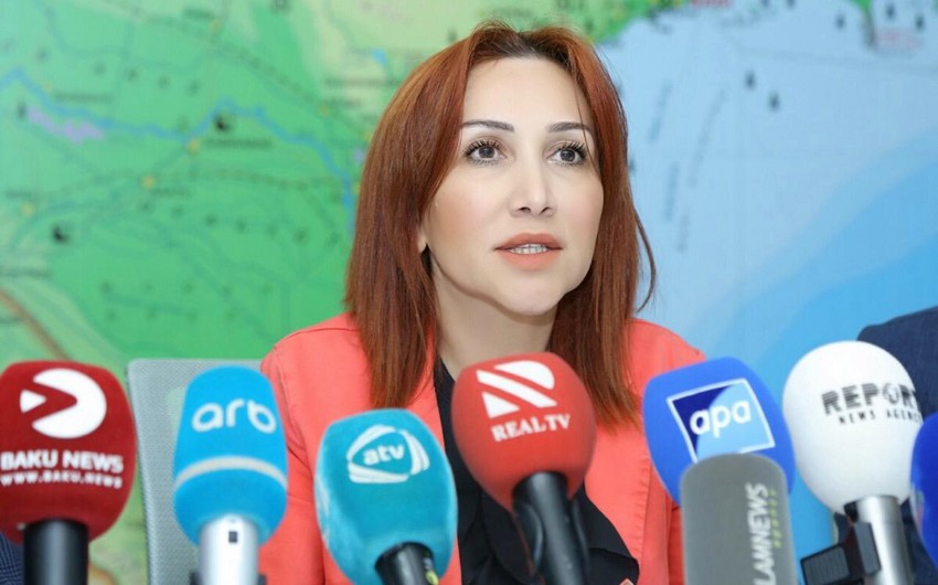 Qurtuluş Günü ilə əlaqədar milli parklarda “Açıq qapı” günü keçiriləcək