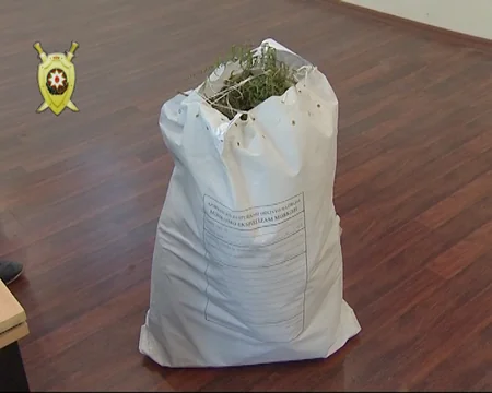 Bakıda keçmiş məhkumdan 13 kiloqram marixuana aşkar edilib