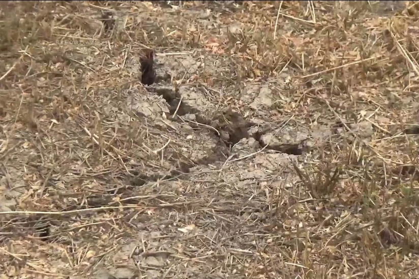 İmişlinin Hacırüstəmli sakinlərinin su ilə sınağı: Problem nə vaxt həll olacaq? 