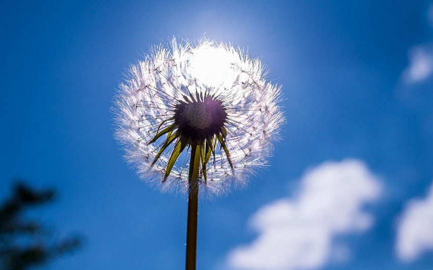 Azerbaijan weather forecast for June 12