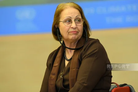 UN Office to invite climate experts to Azerbaijan within COP29