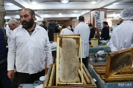 Bakıda bal yarmarkası - FOTOREPORTAJ