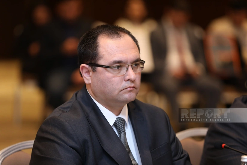 Nazir: Azərbaycanda meyvə və giləmeyvə bağlarının sahəsi 10 % artıb