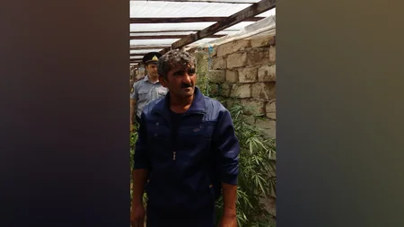Bakıda 19 kiloqram narkotik vasitə qanunsuz dövriyyədən çıxarılıb