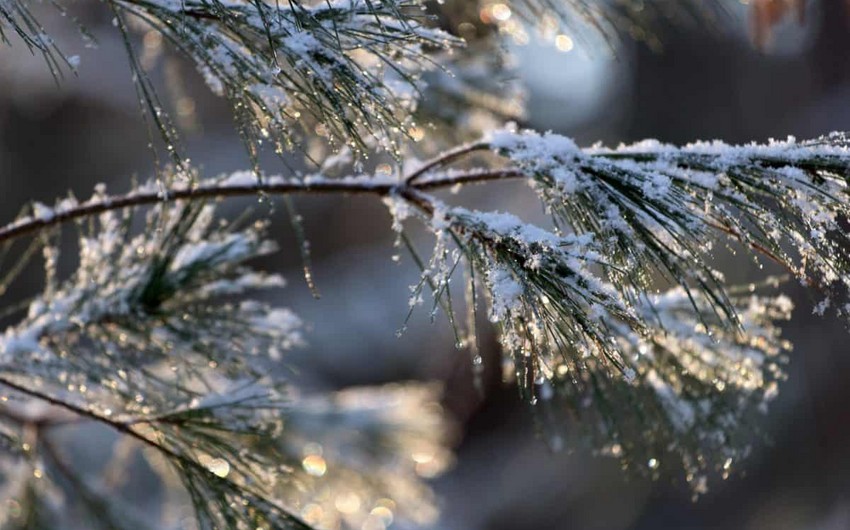 Azerbaijan weather forecast for January 17
