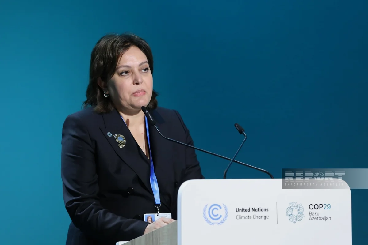 Umayra Tağıyeva: İqlim dəyişikliyi meşələri daha da zəiflədir