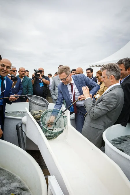 50,000 sturgeon released into the Caspian Sea by Azerbaijan fish farm to mark International Day for Biological Diversity