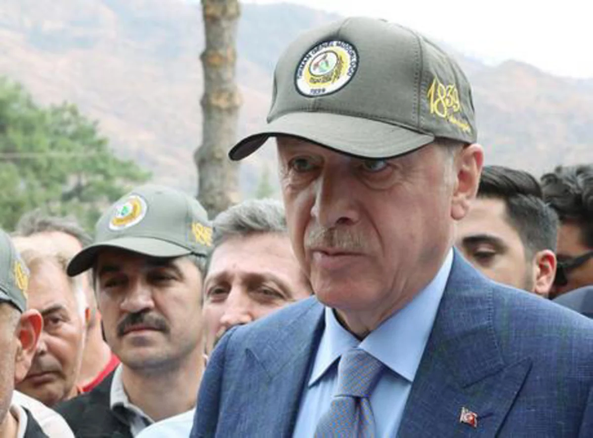 Ərdoğan meşə yanğınlarının söndürülməsində Azərbaycanın köməyindən danışıb