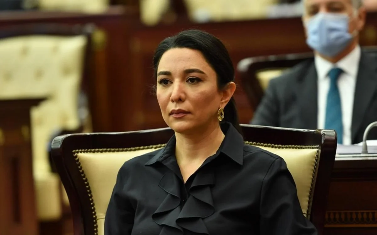 Ombudsman: Ermənistan azad olunmuş ərazilərimizi yenidən minalarla çirkləndirir