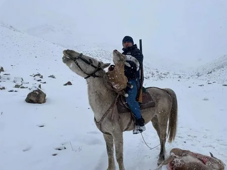 Naxçıvanda qanunsuz ov edən şəxslər saxlanılıb