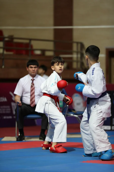 Azərbaycan karateçiləri Bakıdakı yarışda medal sıralamasında birinci yeri tutub