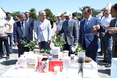 AAF sürətli idman avtomobillərinin Lənkərana yürüşünü təşkil edib