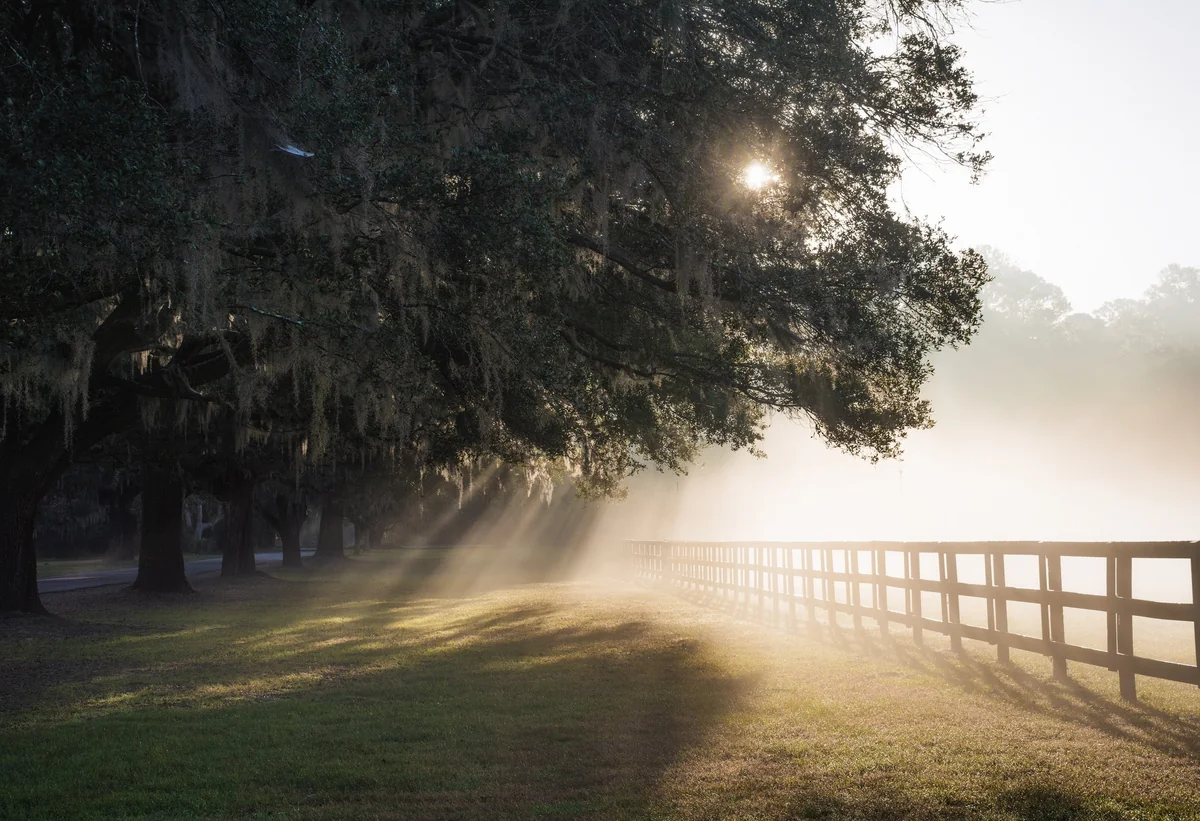 Weather forecast for tomorrow announced