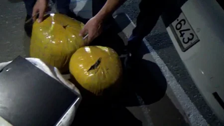 DİN: Narkotik vasitələrin satışı ilə məşğul olan daha 14 nəfər saxlanılıb