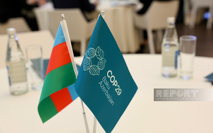 FAO: Azərbaycan COP29-da aqrar sənayesindəki innovativ işlərini dünyaya nümayiş etdirəcək