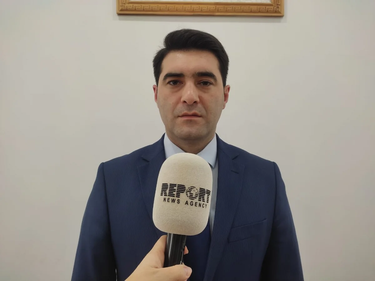 Xidmət rəisi: Cəbrayıldakı ceyranların digər ərazidə də görünməsi onların əraziyə uyğunlaşmağını göstərir