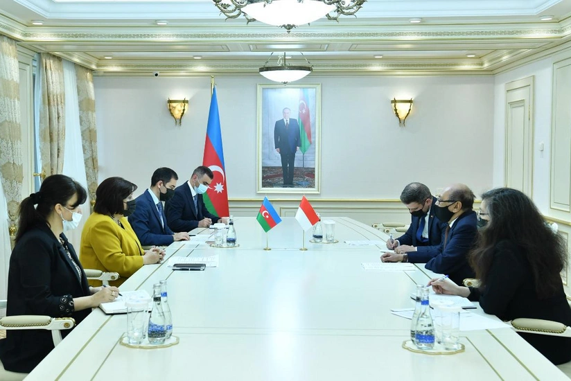 Sahiba Gafarova meets with Indonesian ambassador