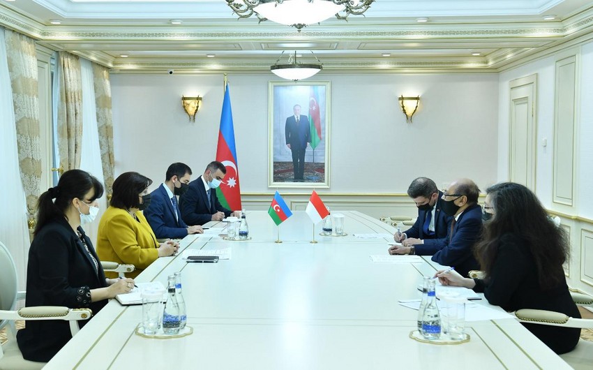 Sahibə Qafarova İndoneziya səfiri ilə görüşüb
