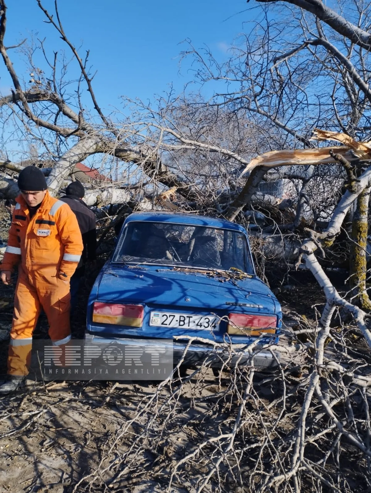 Xaçmazda ağac avtomobilin üstünə aşıb, sürücü xəsarət alıb