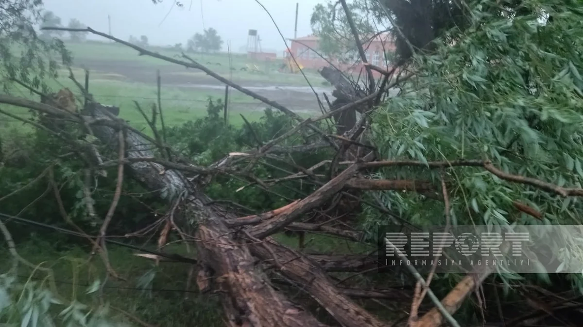 Qasırğa Ağdamda ciddi fəsadlar törədib