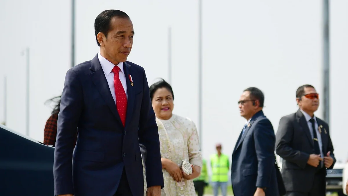 Indonesian president calls for abandoning division of countries into developed and developing