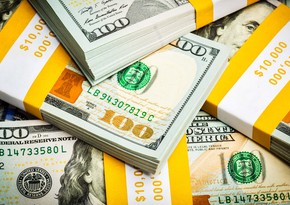 Türkiyə Mərkəzi Bankının valyuta ehtiyatları 3 milyard dollara yaxın azalıb