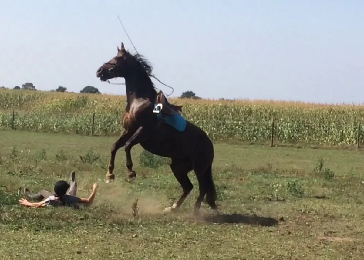 Gədəbəy sakini atdan yıxılaraq ölüb