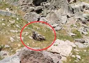 Türkiyədə muzey direktoru və müəllimlərin olduğu avtomobil dərəyə aşıb, ölənlər var