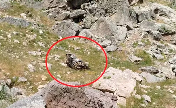 Türkiyədə muzey direktoru və müəllimlərin olduğu avtomobil dərəyə aşıb, ölənlər var
