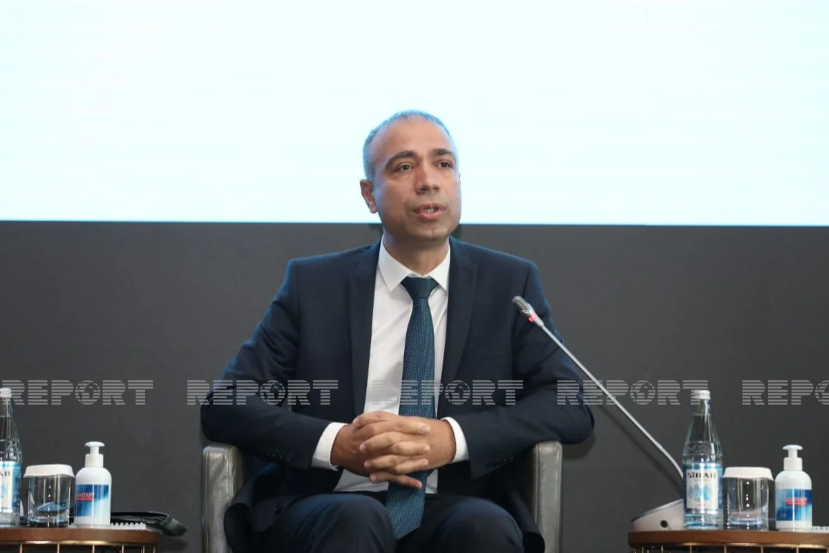 Azerbaijan intends to involve foreign investors in green energy zone 