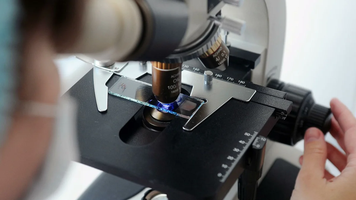 Scientists reveal new way to slow aging