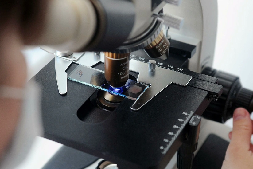 Scientists reveal new way to slow aging