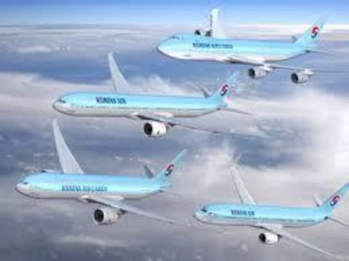South Korea's major airlines reduce transportations amid crisis