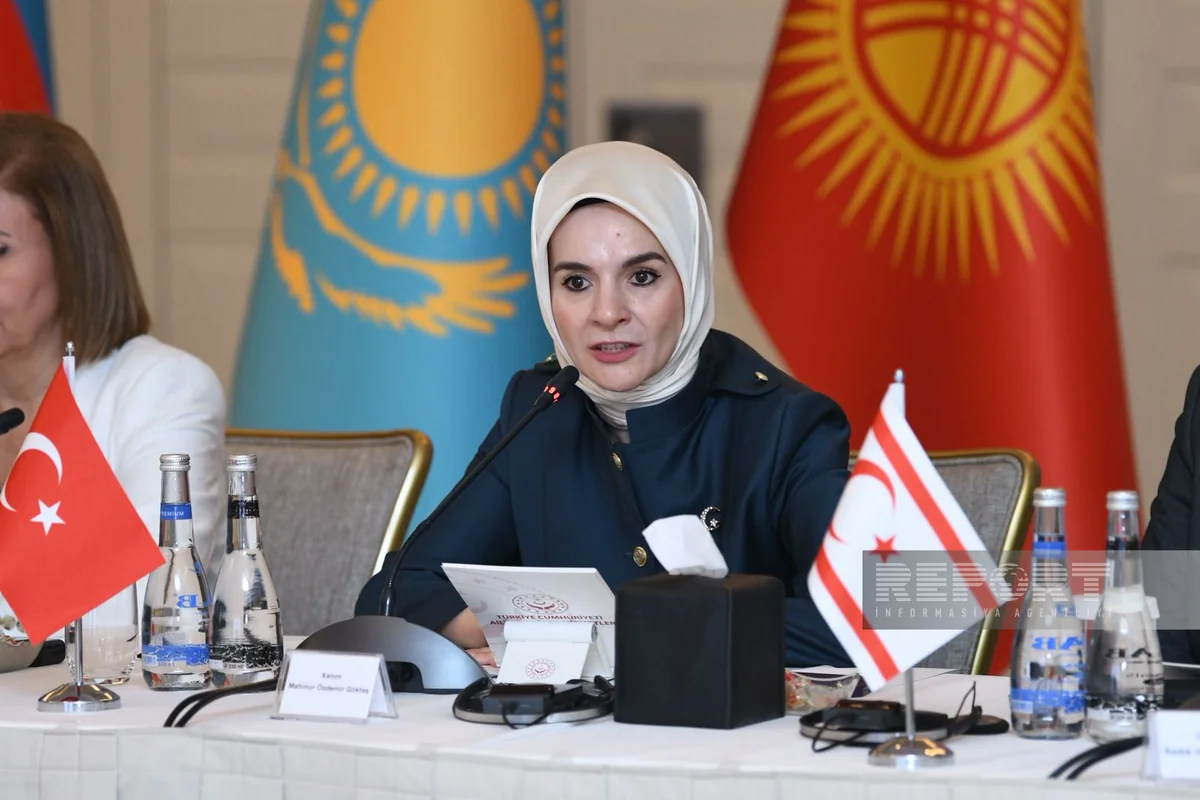 Mahinur Ozdemir Goktas: Family institution must be preserved for future generations