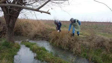 В Тертере обнаружена ручная граната