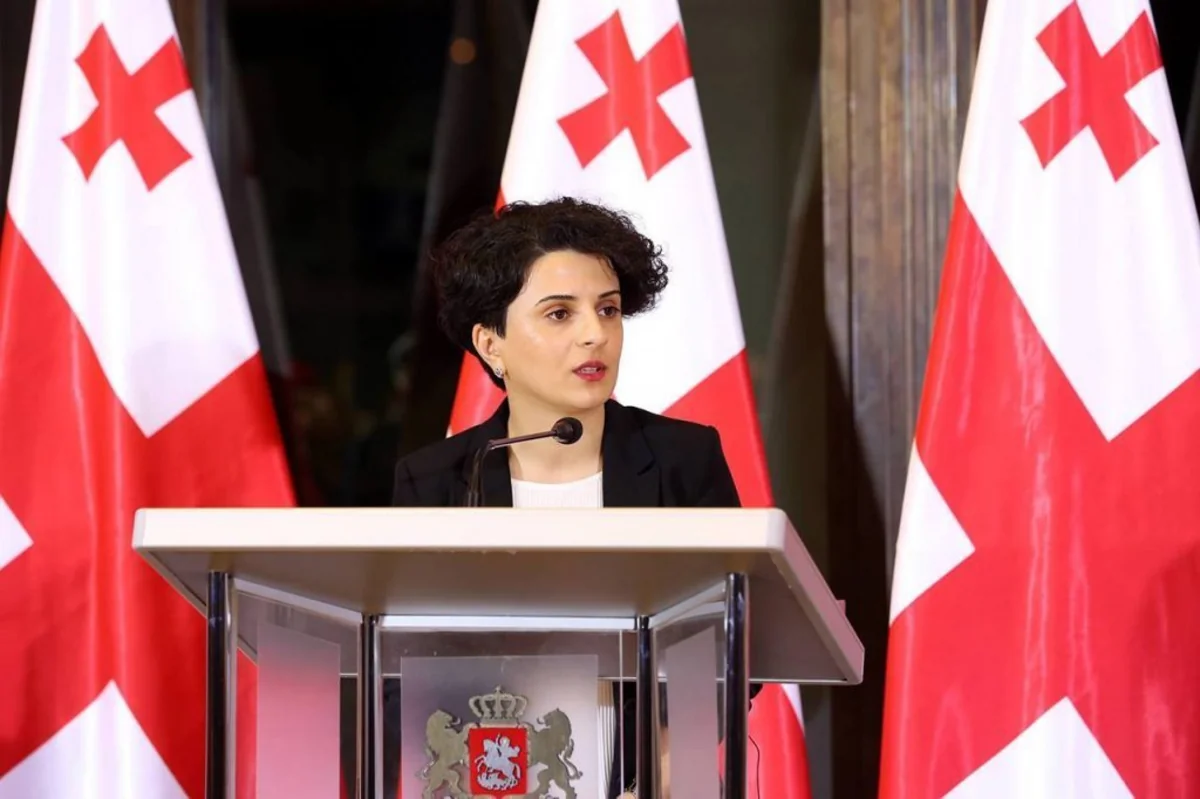 Gürcüstandakı prezident seçkiləri ilə bağlı 11 qanun pozuntusu, 171 şikayət qeydə alınıb