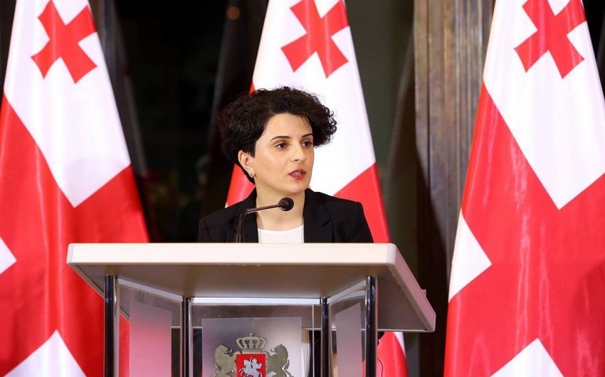 Gürcüstandakı prezident seçkiləri ilə bağlı 11 qanun pozuntusu, 171 şikayət qeydə alınıb