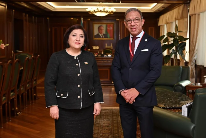 Sahibə Qafarova Serbiya Milli Assambleyasının sədri ilə görüşüb