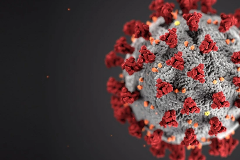 Unsung immune cells take over after coronavirus antibodies wane