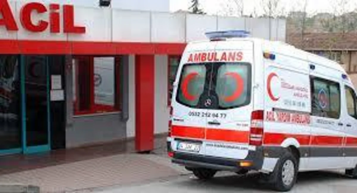 В Турции около 30 человек пострадали в ДТП с автобусом