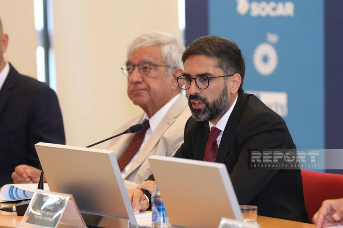 Rövşən Nəcəf: Azərbaycan bir çox ölkələr üçün etibarlı tərəfdaşa çevrilib