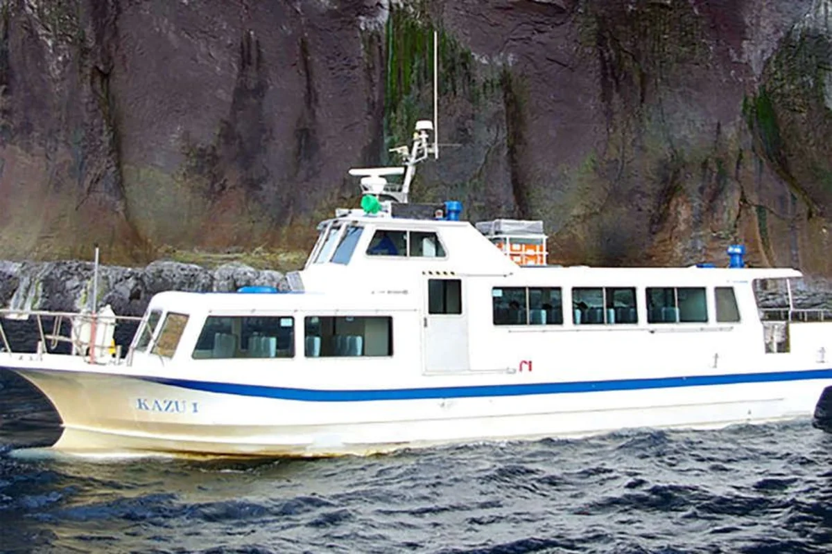 Japan confirms 14 deaths from sunken cruise ship