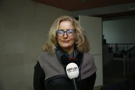 Турция развивает традиционные виды спорта среди азербайджанцев Грузии