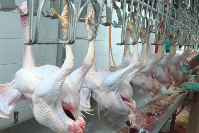 Bakıda istifadəyə yararsız 1 tona yaxın quş əti aşkarlanıb