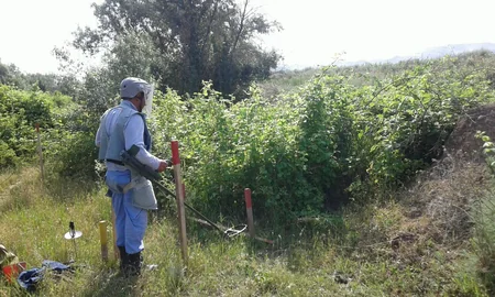 Cocuq Mərcanlıda gün ərzində 1 207 ədəd qəlpə aşkar edilib