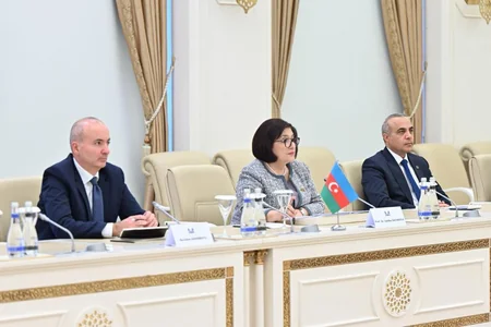 Председатель Милли Меджлиса встретилась с президентом ПА ОБСЕ