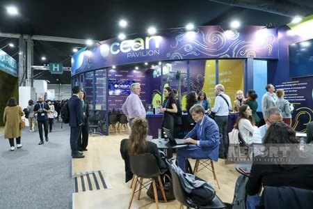 На COP29 представлены павильоны разных стран