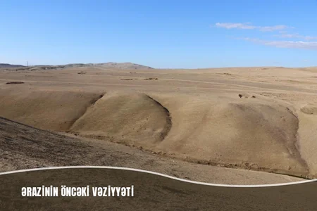 Müşfiqabadda son bir ayda 16 mindən artıq ağac əkilib