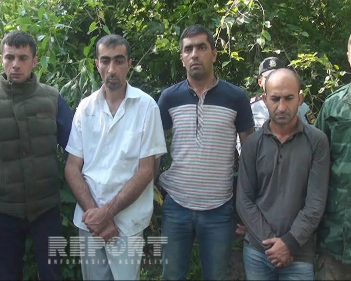 ​Qax rayonunda narkotik bitkilər əkmiş Şəki və Zaqatala sakinləri saxlanılıb - FOTO