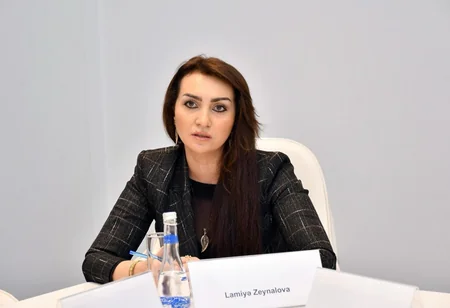 Mədəniyyət Nazirliyi yanında Ekspert şurası yaradılıb